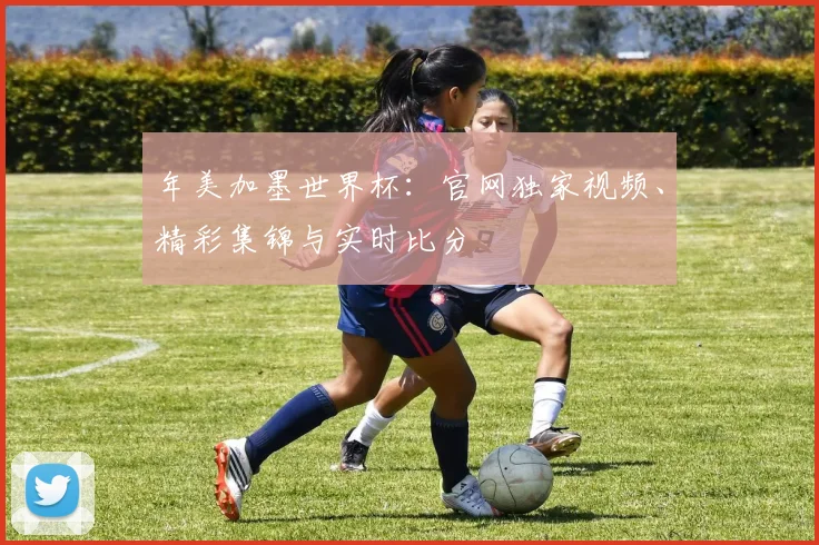 年美加墨世界杯:官网独家视频、精彩集锦与实时比分